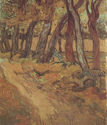 The Garden of Saint-Paul Hospital with Figure (nn04), Vincent Van Gogh